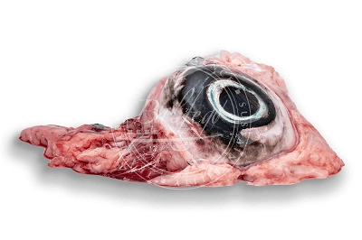 Ojo