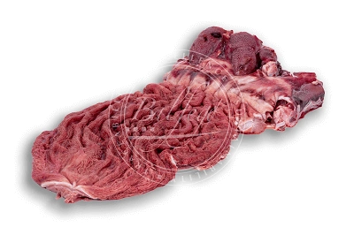 Tripa