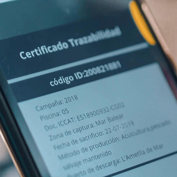 Rastreo individual de cada ejemplar