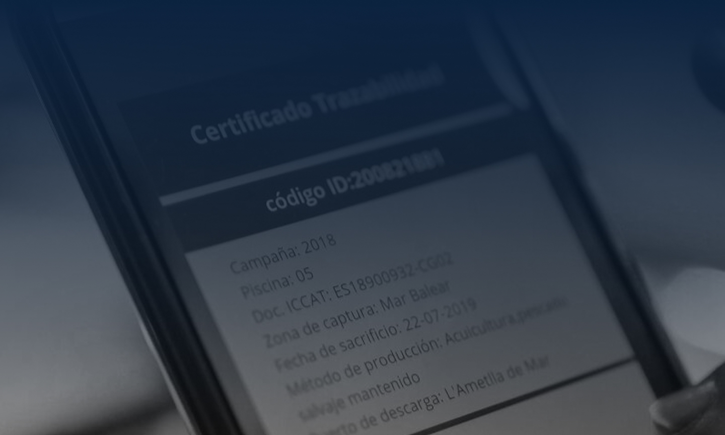 trazabilidad-sistema-pionero