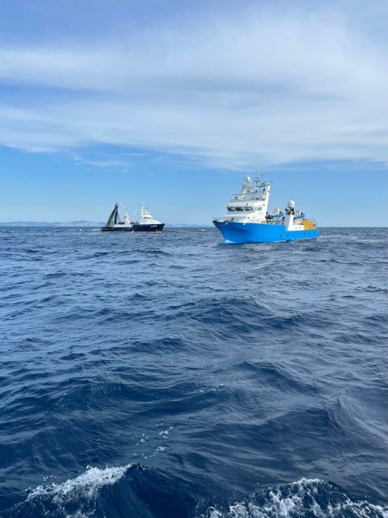 Iniciem la campanya de pesca de la tonyina roja de 2025