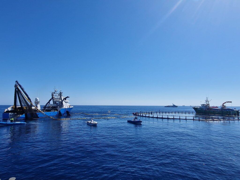 Balfegó cierra con éxito la campaña de 2025 de pesca de atún rojo